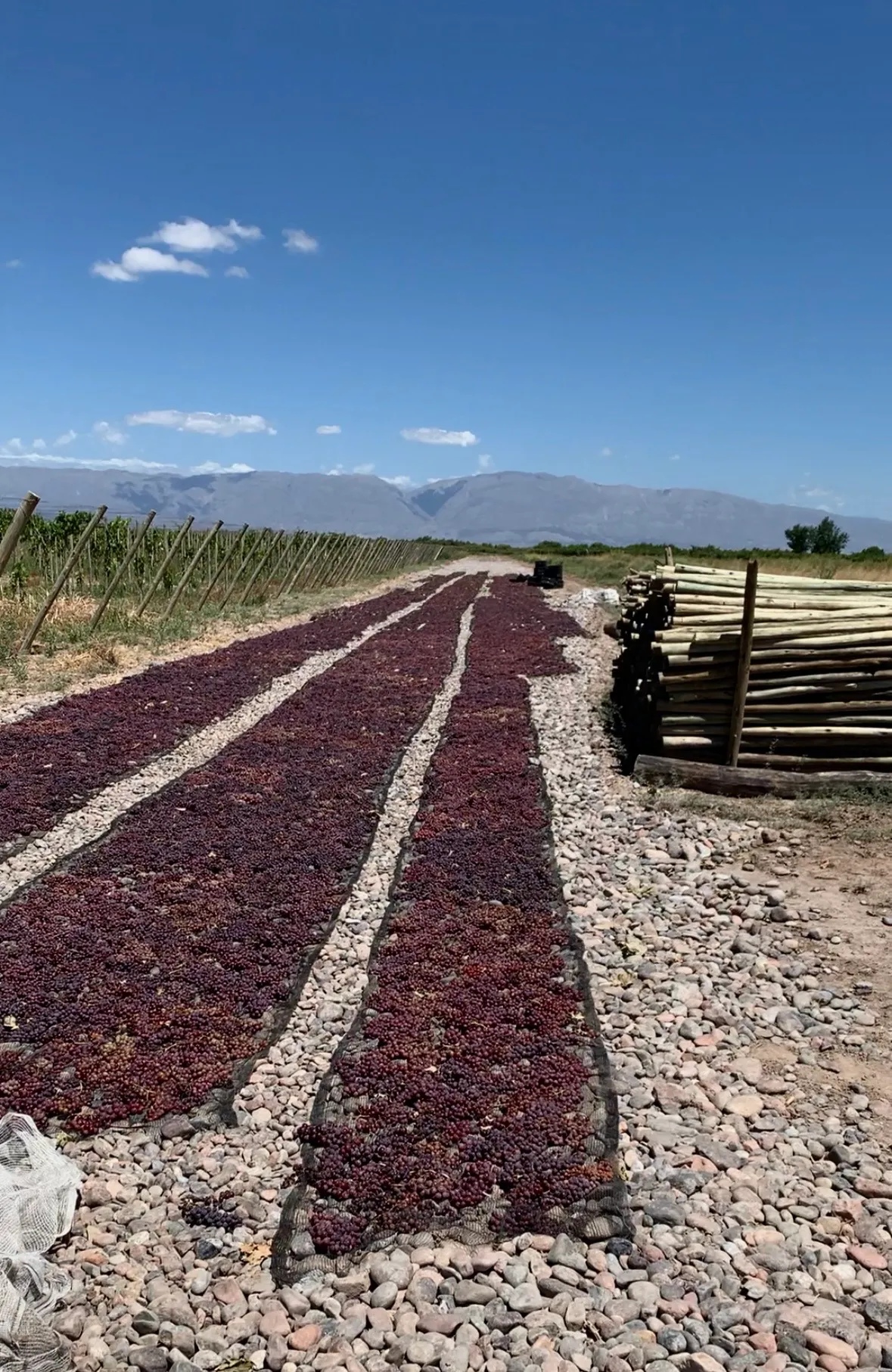 Secado al sol — Valle Escondido